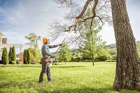 Best Leaf Removal  in Lla Lla, WA
