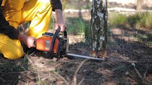 Best Lawn Maintenance Plans  in Lla Lla, WA