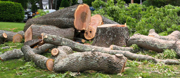 Best Tree Mulching  in Lla Lla, WA